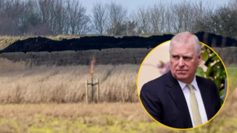 Königlicher Kuhmist-Haufen vor Andrews neuem Domizil: Gestank als nächste Demütigung