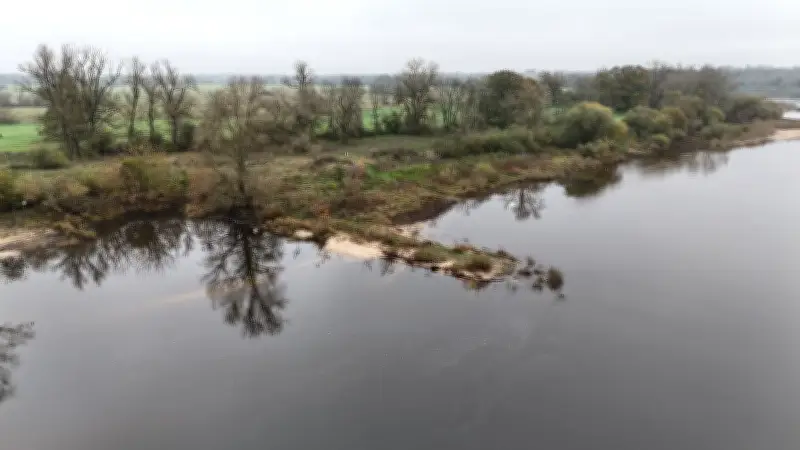 Künstliche Intelligenz revolutioniert Artenschutz an der Elbe durch automatische Tiererkennung