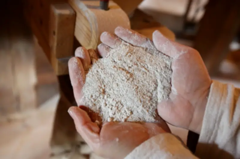 Öko-Test prüft Vollkornmehle: Überwiegend Bestnoten, aber Schwermetalle und Keime in Einzelfällen