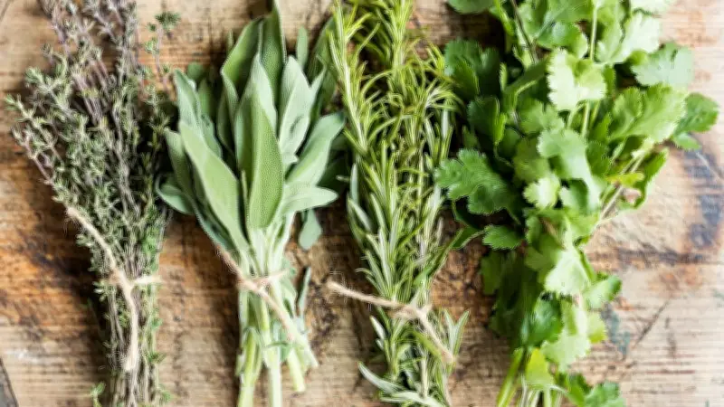 Kräuter richtig lagern: So bleiben Basilikum, Petersilie und Co. länger frisch