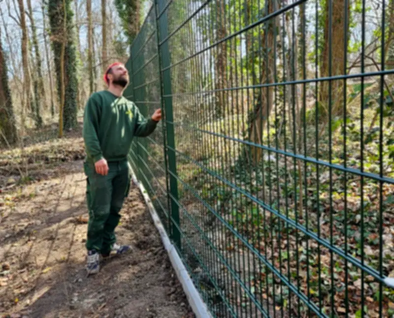 Köthener Tierpark schützt Tiere mit neuem Zaun vor Füchsen und Wölfen