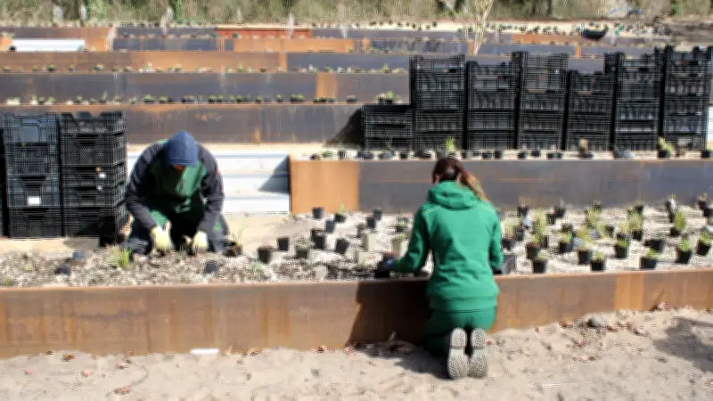 Landesgartenschau 2027: Pflanzungen am Schwanenteich in Wittenberge haben begonnen