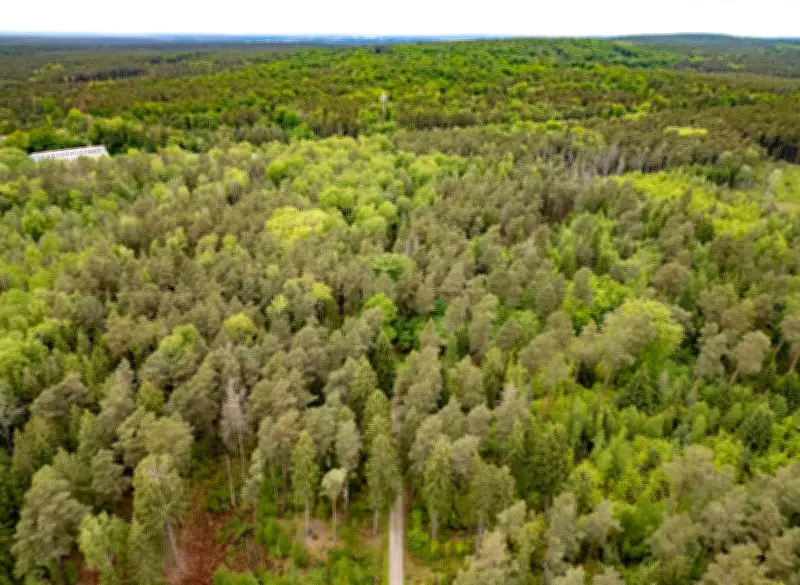Landgericht Dresden: Täter im Fall „Emma“ für schuldunfähig erklärt