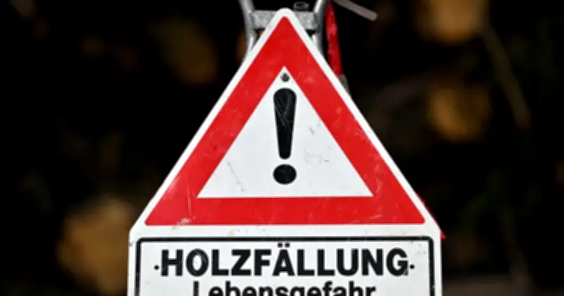 Landgericht Traunstein: Schilder und Hupen reichen nicht für sichere Baumfällarbeiten