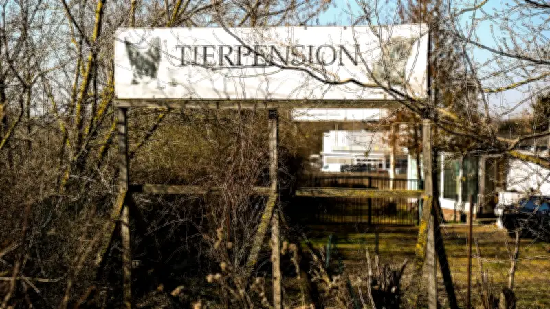 Landkreis Saalekreis fordert 350.000 Euro von verurteilter Tierquälerin nach Rettung von 128 Hunden