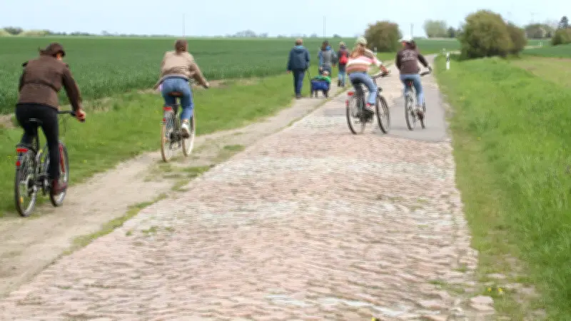 Landkreis Vorpommern-Greifswald kündigt drei Straßensanierungen für 2026 an