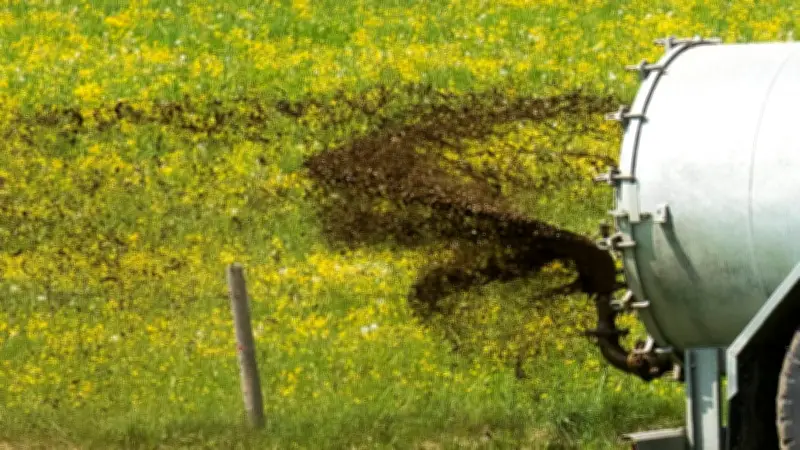 Landwirtschaftsunfall bei Krautheim: 20.000 Liter Gülle auf Grünstreifen ausgelaufen