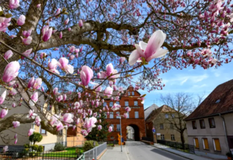 Launisches Aprilwetter startet Osterferien in Berlin und Brandenburg