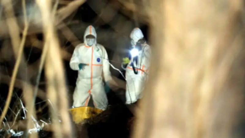 Leichenfund in Rostock: Polizei nimmt 39-Jährigen nach Entdeckung zwischen Sperrmüll fest