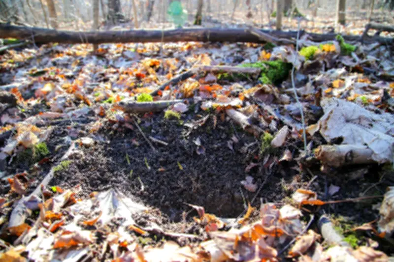 Leipzig: Polizei stellt erneut Bärlauch-Diebe – Fast 100 Kilo in zwei Fällen sichergestellt