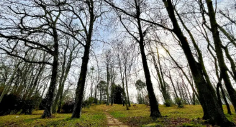 Lenssenpark in Zeitz: Warten auf die Sanierung der grünen Oase