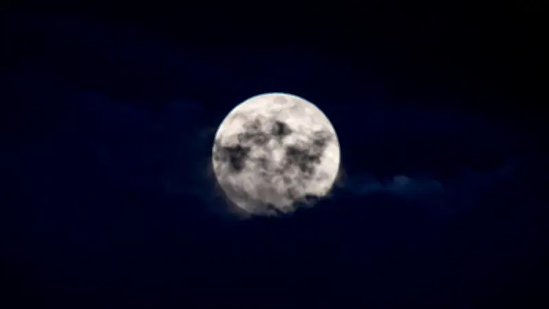 Lenzmond am 3. März: Frühlingsvorbote mit vielen Namen über Sachsen-Anhalt