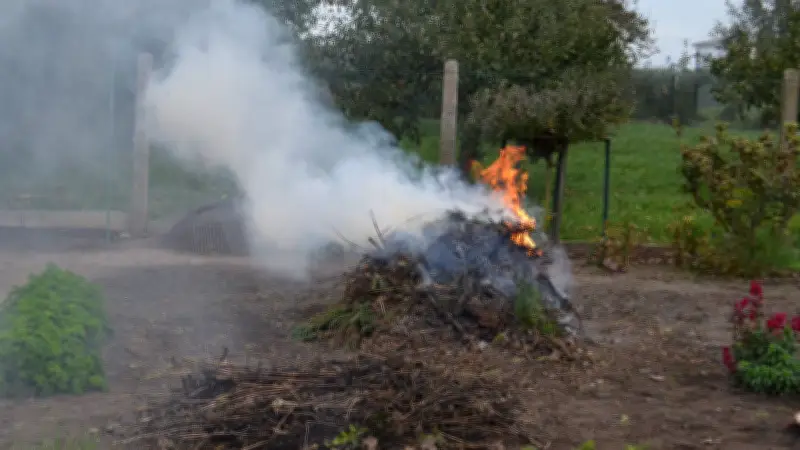 Leo Löwe brüllt erneut: Die ewige Verwirrung um Gartenfeuer und Abfallentsorgung