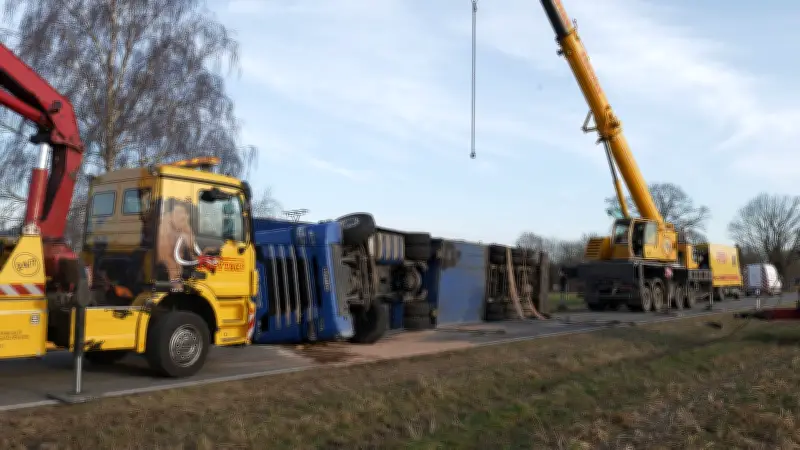 Letzter entlaufener Bulle nach Unfall mit Tiertransporter gefunden und geschlachtet