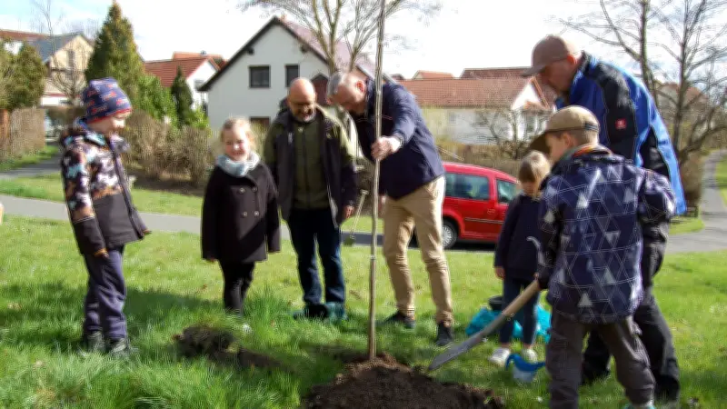 Linde für die Öko-Ecke: Wasserversorger Midewa pflanzt Baum in Hohenmölsen