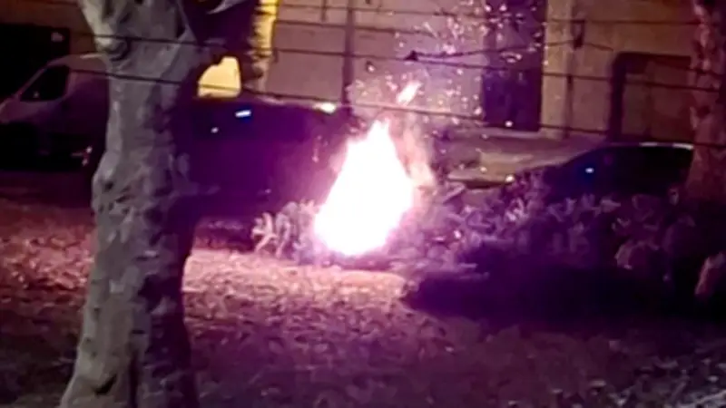 Lärm, Müll und Bierball: Anwohner am Landesmuseum Halle fühlen sich terrorisiert