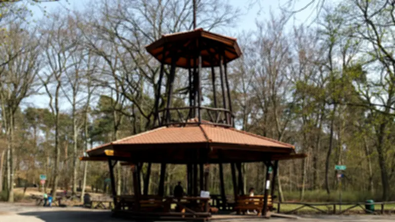 Mannheim: 17-Jähriger als Verdächtiger festgenommen - Tote im Wald war 19