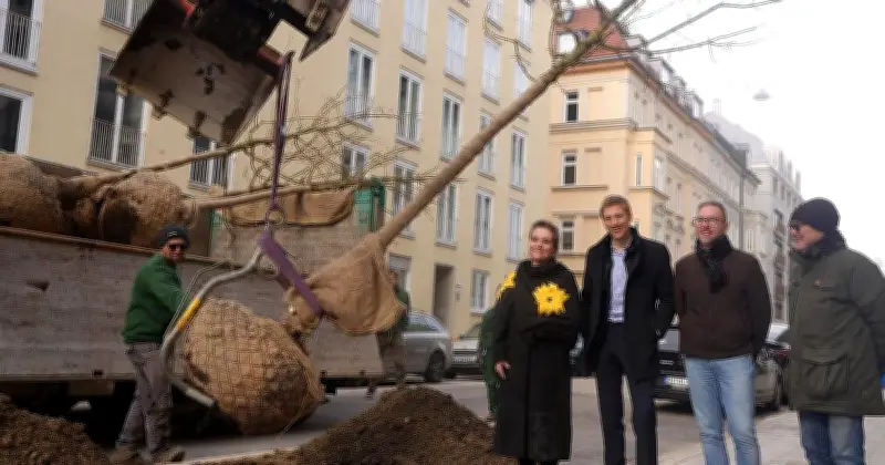 Mehrkosten für Stadtbäume: Sieben Feldahorne kühlen nun das Glockenbachviertel