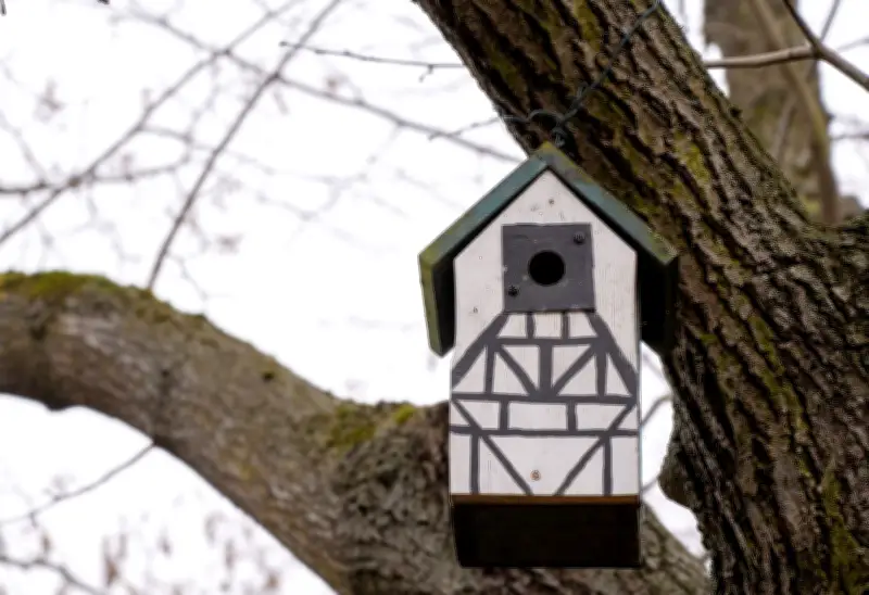 Meisen als natürliche Bekämpfer des Eichenprozessionsspinners: Nistkästen im Einsatz