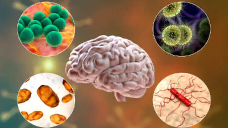 Meningitis-Welle in England: Aktuelle Lage, Symptome und Impfmöglichkeiten in Deutschland