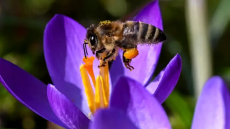 Meteorologischer Frühlingsanfang: Zwei Daten für den Start der schönsten Jahreszeit