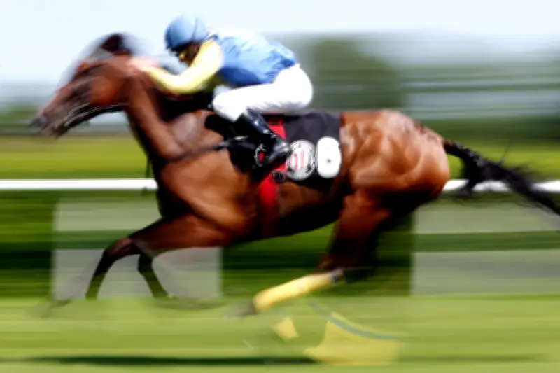 Mikrochip-Fund in Suppenküche: Fremdkörper gehörte zu ehemaligem Rennpferd