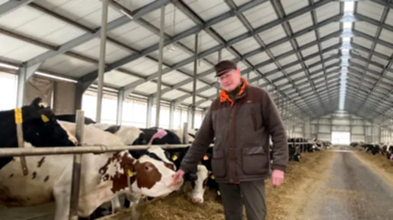 Milchpreisverfall: Butter für 99 Cent - Landwirt aus Querfurt warnt vor Höfesterben