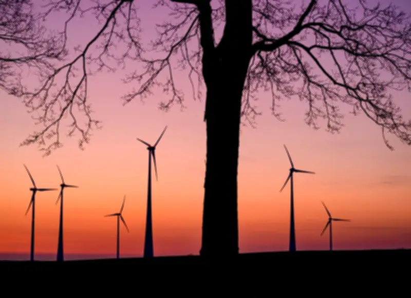 Mildes Wetter in Berlin und Brandenburg hält an - Regen und nächtlicher Frost erwartet