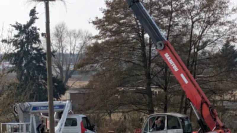 Milmersdorf: Neues möbliertes Storchennest für Rückkehrer ist startklar