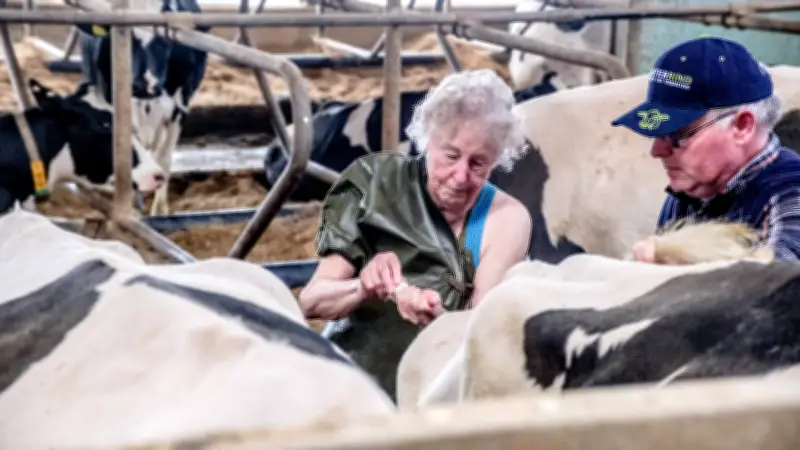 Mit 75 Jahren im Ruhestand: Tierärztin Brigitte Franz verabschiedet sich nach Jahrzehnten