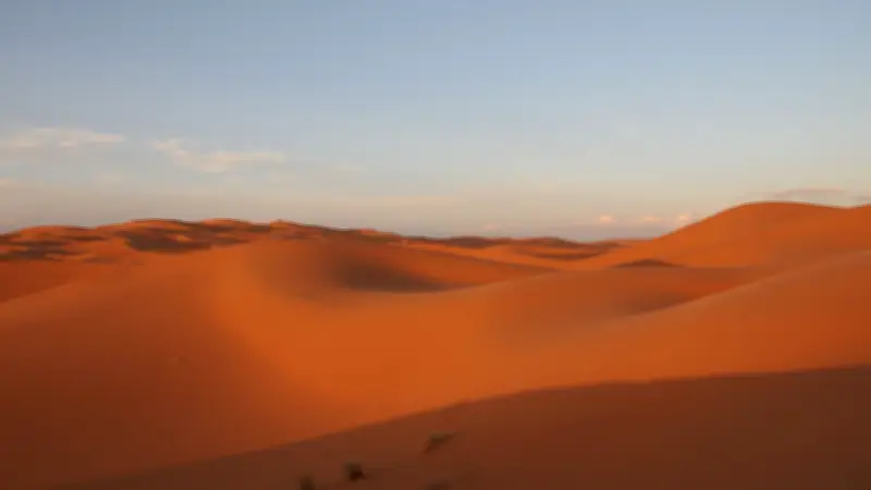 Mit dem Auto durch die Sahara: Brigitte Fahrenhorst berichtet von ihren Abenteuern