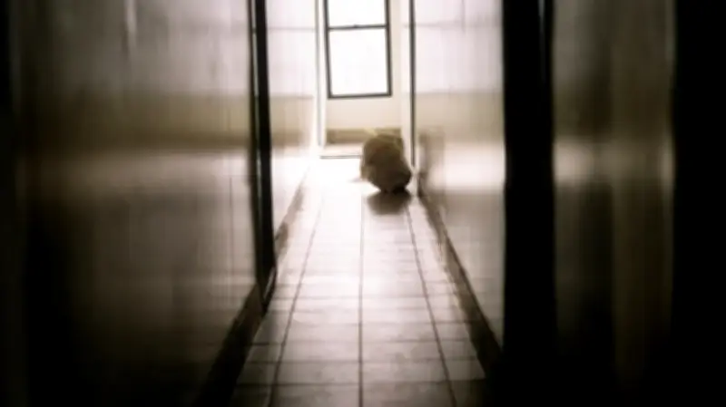 Müll im Treppenhaus: Warum Nachbarschaftsstreit droht und was Mieter wissen müssen