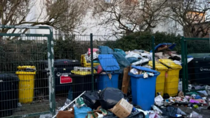 Müllproblem in Bad Doberan: Lösung in Sicht trotz komplexer Eigentümerstruktur