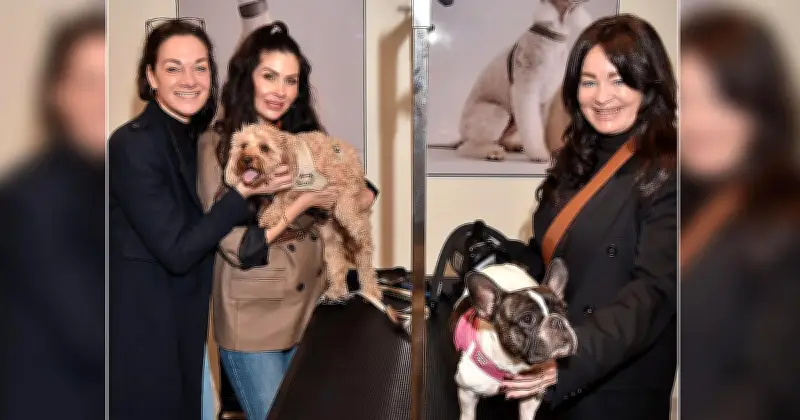 Münchens neues Dog Spa Pintu: Wo Promis ihre Vierbeiner verwöhnen lassen