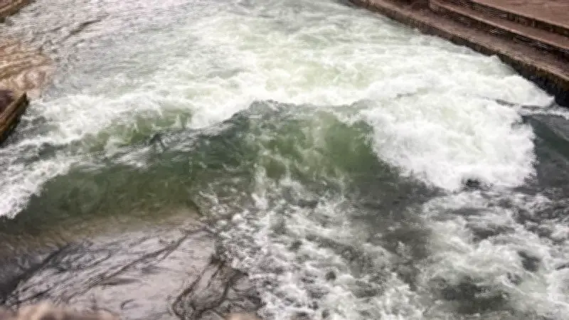 Münchner Eisbachwelle kehrt überraschend zurück - Natürliche Heilung oder menschliches Zutun?