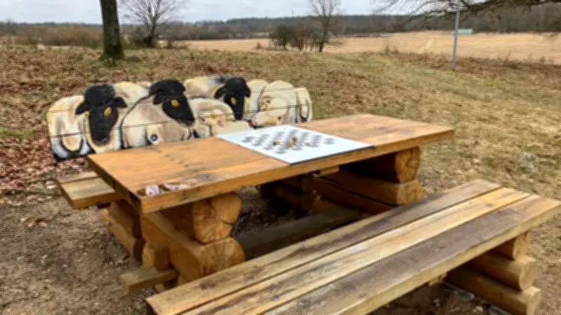 Modernes Wandern im Hullerbusch: Neuer Naturlehrpfad in der Feldberger Seenlandschaft begeistert