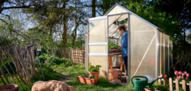 Monatlicher Gartenkalender: Die besten Tipps für ein umweltfreundliches Paradies