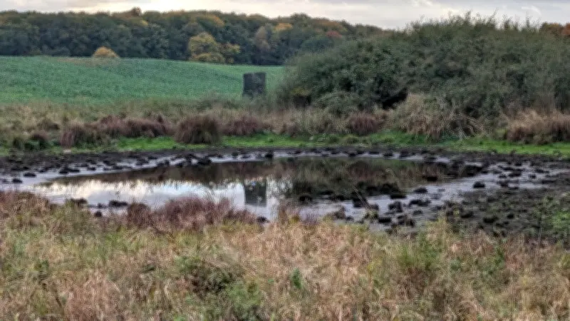 Mordfall Fabian: Güstrow schockiert über grausame Details der Anklage