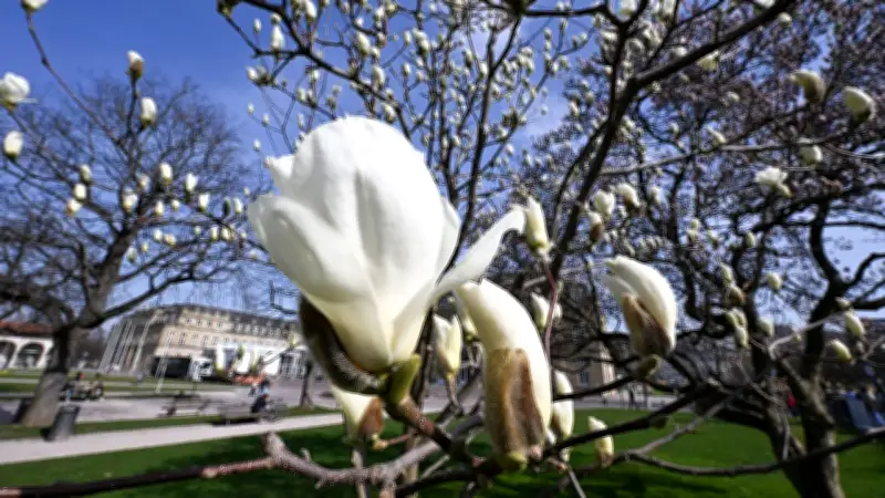 März-Wetter: Temperatursturz nach milden Tagen - Experten warnen vor April-Wetter im März