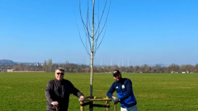 MSV Eisleben pflanzt neue Pappel als Ersatz für historischen Napoleon-Baum