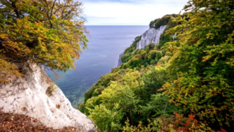 Mufflons auf Rügen: Wie Wildschafe aus dem Mittelmeer die Ostsee eroberten