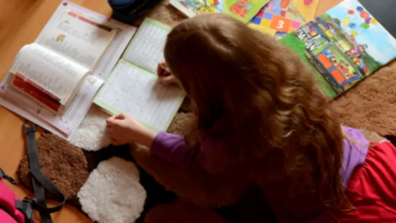 Mutter zu Geldstrafe verurteilt: Vierjähriger Schulboykott für Töchter in Müritzregion