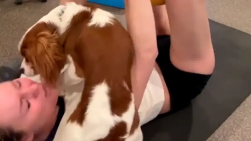 Nach Horror-Verletzung: Hilft dieser Hund Lindsey Vonn zurück auf die Piste?