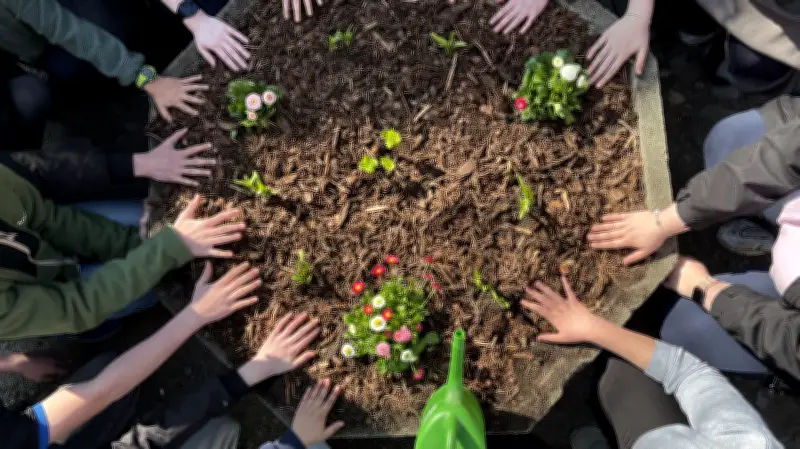 Nach Vandalismus: Quedlinburger Schüler bepflanzen Blumenkübel an Marktkirche als Zeichen der Verantwortung
