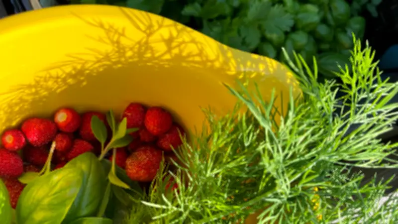 Nachhaltiges Ostern: Mit kleinen Ideen gegen Konsumstress und für mehr Entspannung