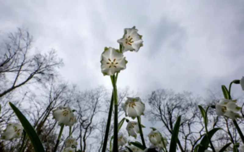Nasskaltes Frühlingswetter: Schnee in den Bergen und stürmische Böen an den Küsten