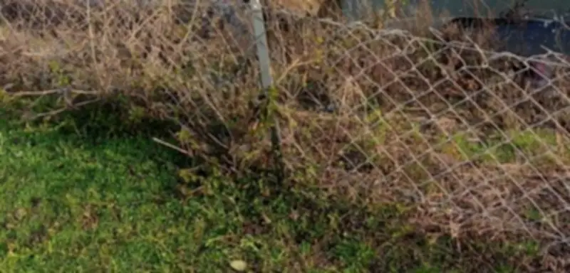 NATO-Luftabwehr fängt iranische Rakete über der Türkei ab: Incirlik-Basis im Visier