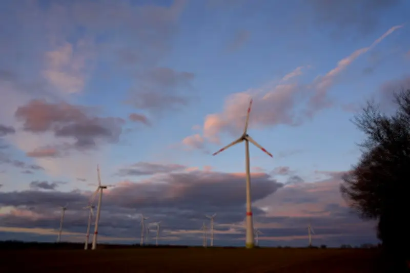 Naunhofer Bürger lehnen Windkraft ab: Bürgerentscheid stoppt Windräder für mindestens drei Jahre