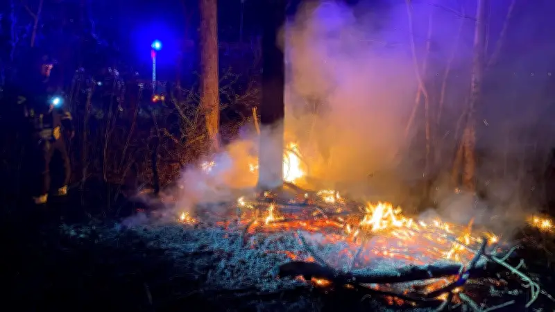 Nächtlicher Flächenbrand in Aschersleben: Feuerwehr löscht Waldbrand nahe der Alten Burg