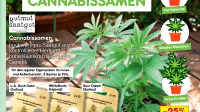 Netto testet Cannabissamen-Verkauf: Erster Discounter bietet Cannabis-Saatgut an